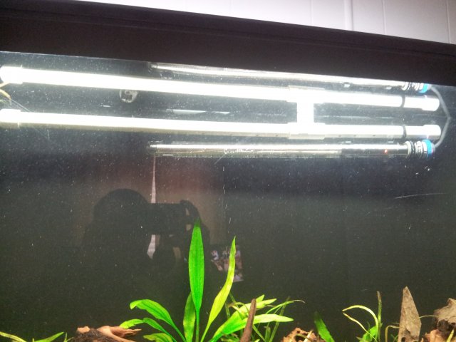 20120924_134312.jpg