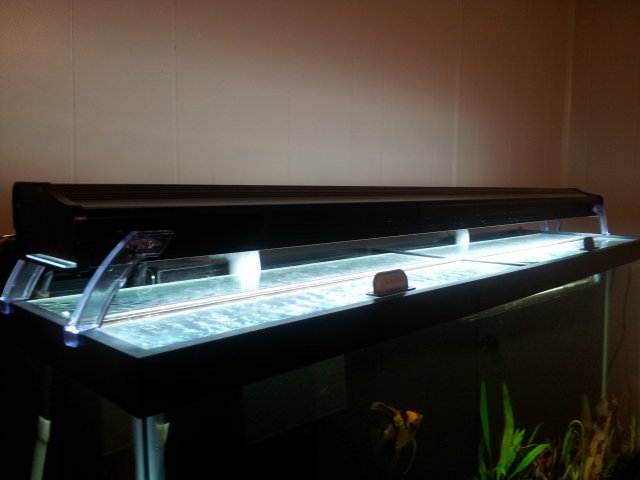20120924_134359.jpg