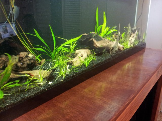 20120924_134448.jpg