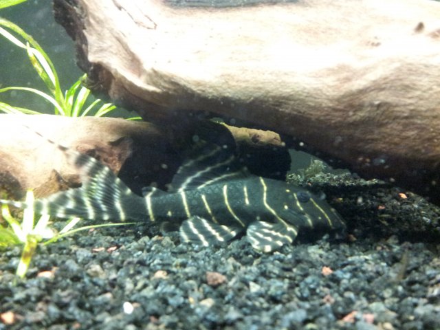 20120924_134011.jpg