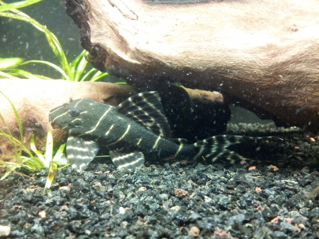 20120924_134023.jpg