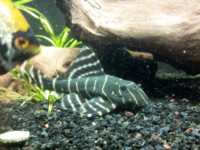 20120924_134032.jpg