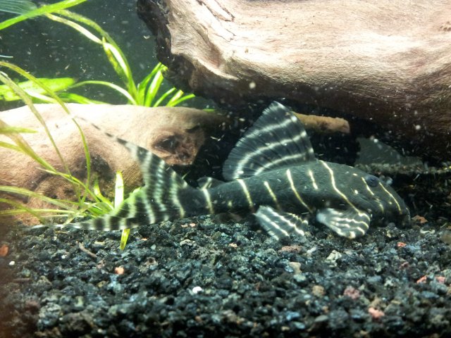 20120924_134053.jpg