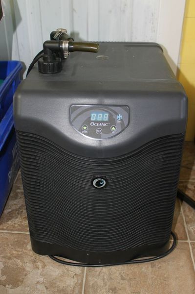 Chiller.JPG Chiller.JPG