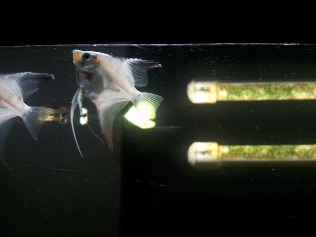 20120928_105609.jpg