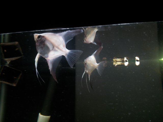 20120928_105617.jpg