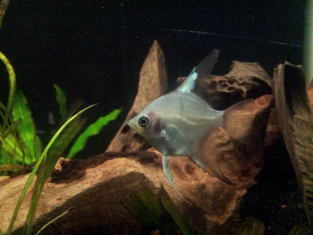 20120928_105833.jpg