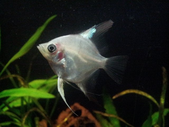 20120928_105845.jpg