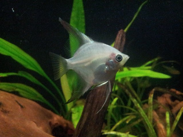 20120928_105858.jpg