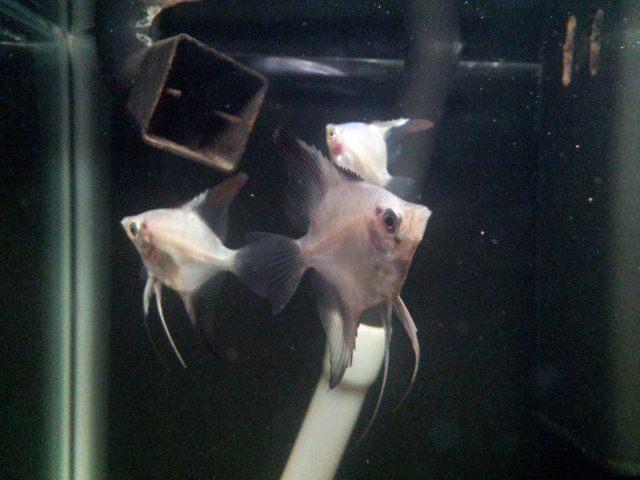20120928_105913.jpg