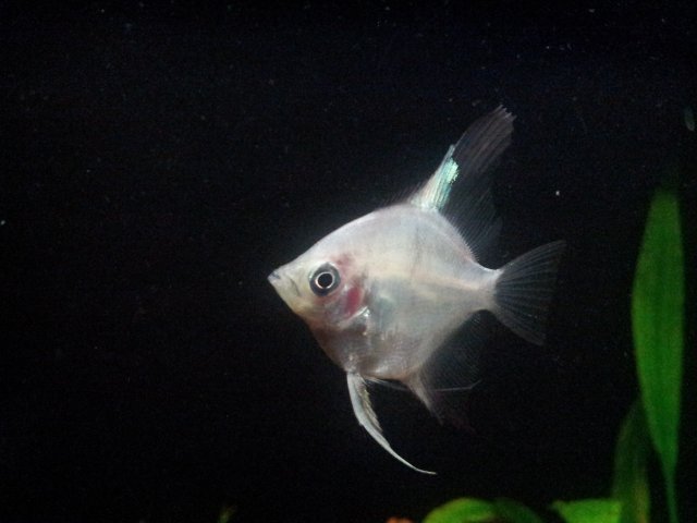 20120928_110011.jpg