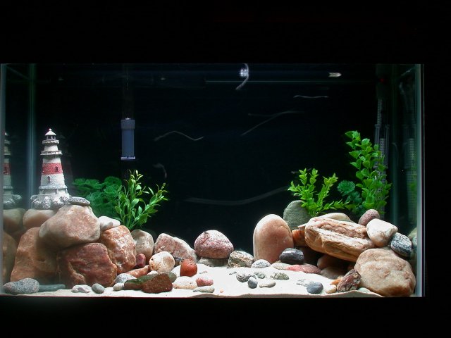 DSCN5769.JPG