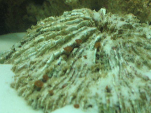 IMG_0913.JPG