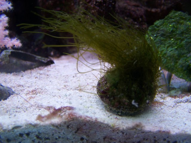 100_1317.jpg