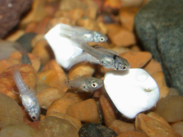 DSCN5704.JPG DSCN5704.JPG