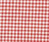 red_gingham.jpg
