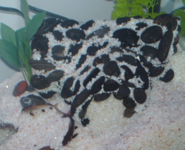 PVC cave 7.jpg