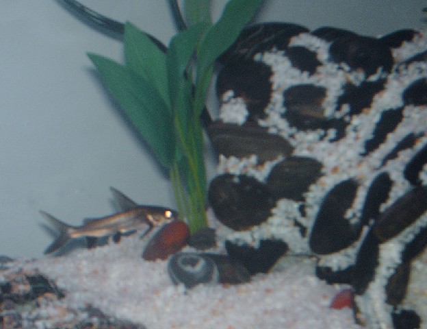 PVC cave 9.jpg