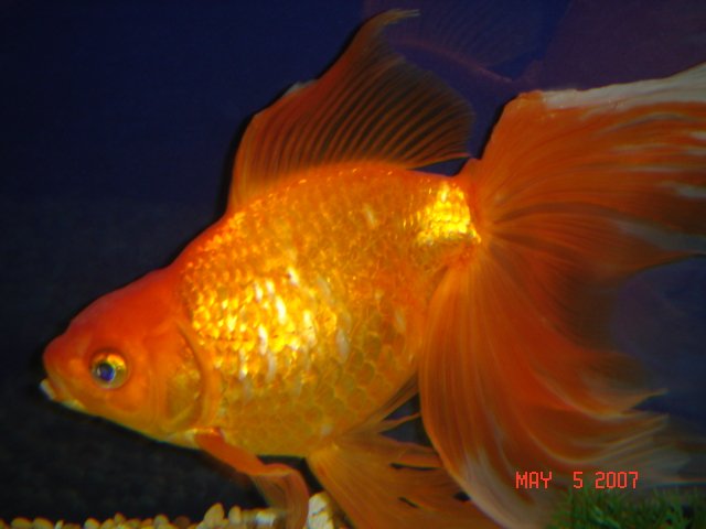 DSC02515.JPG