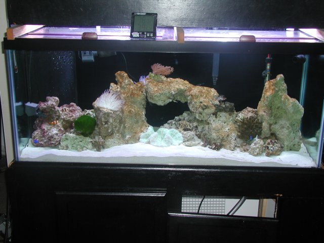 P1010012 (2).JPG