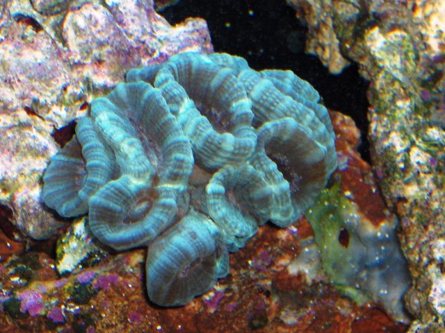 HPIM0801.JPG