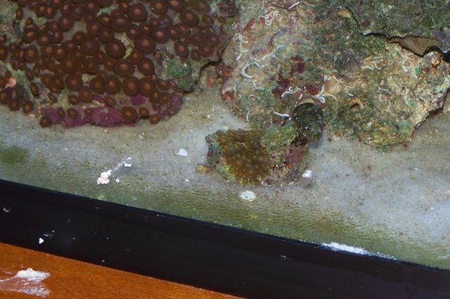 100_0670.jpg