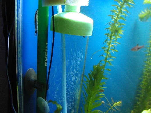 Diy co2 best sale diffuser