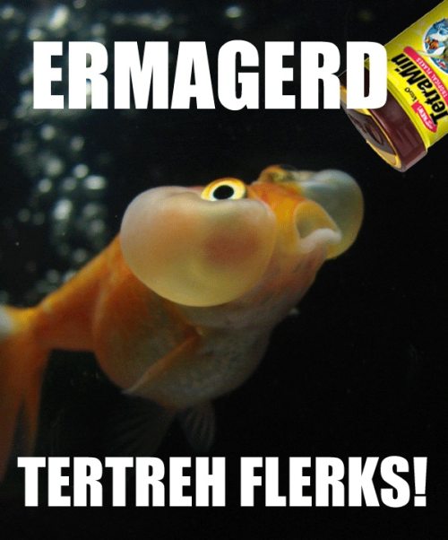 fishy.jpg