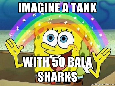 28574203.jpg