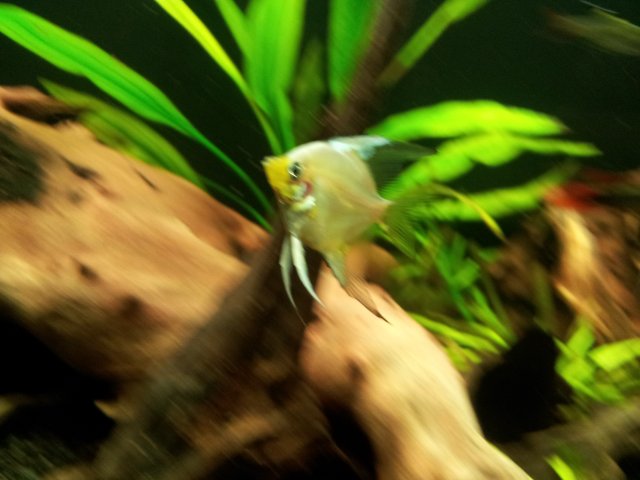 20121021_193135.jpg