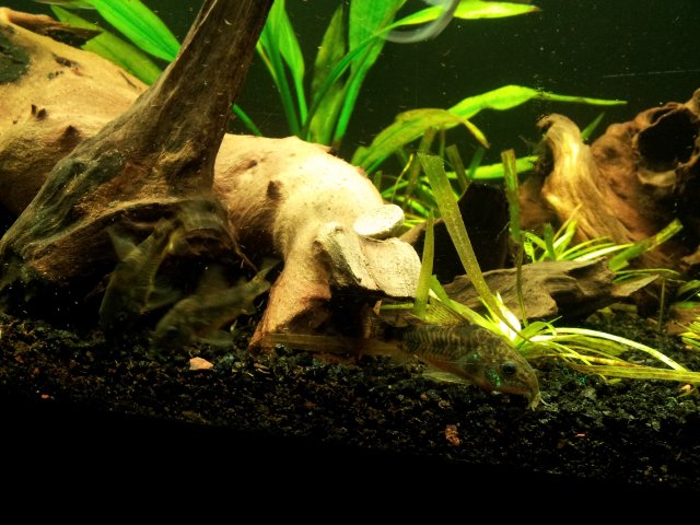 20121021_193600.jpg