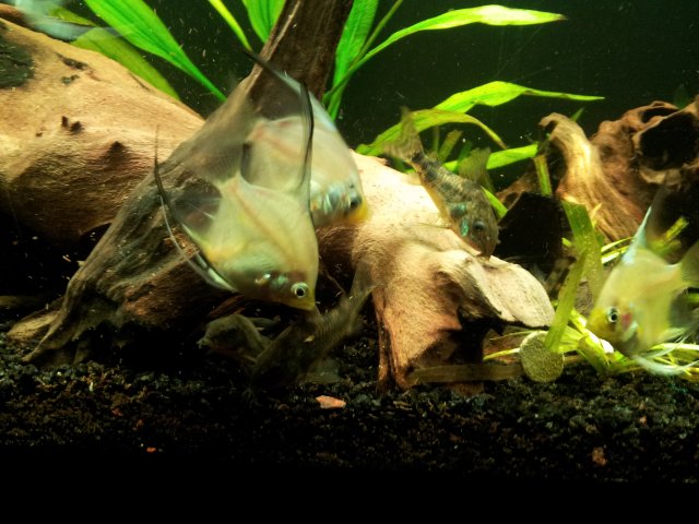 20121021_193638.jpg