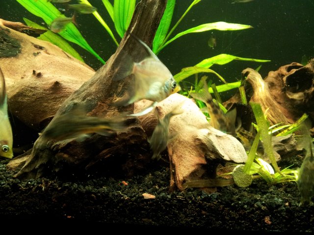 20121021_193645.jpg