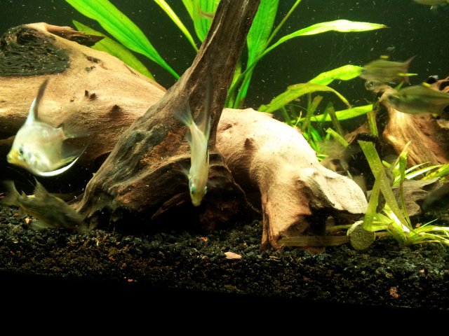 20121021_193701.jpg