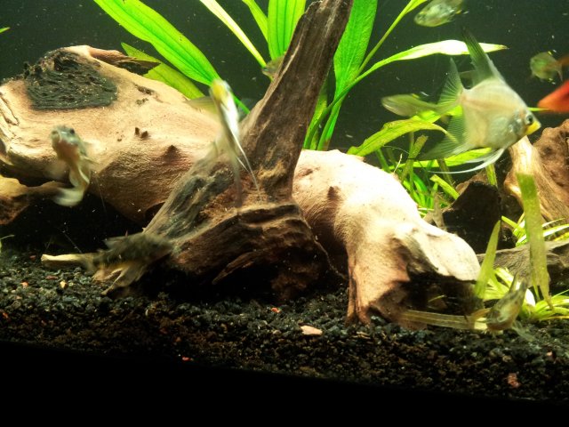20121021_193718.jpg