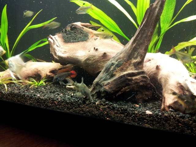20121021_193754.jpg