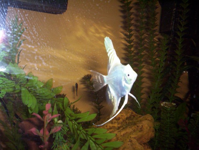100_6273.JPG 100_6273.JPG