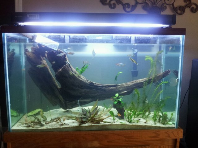 uploadfromtaptalk1351168381254.jpg uploadfromtaptalk1351168381254.jpg