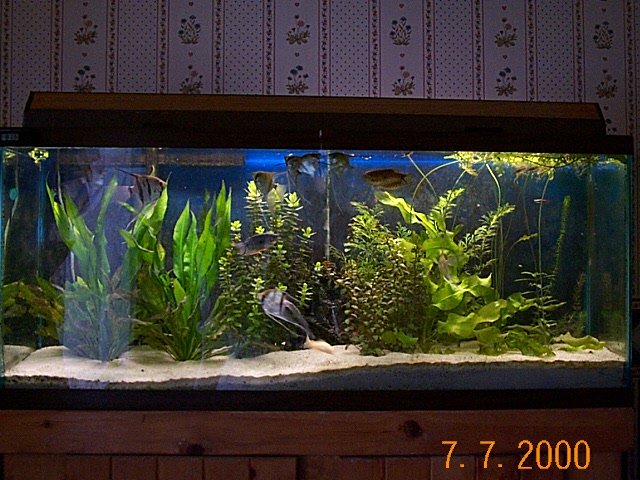 DCP01074.JPG DCP01074.JPG