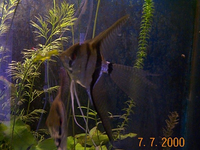 DCP01076.JPG DCP01076.JPG