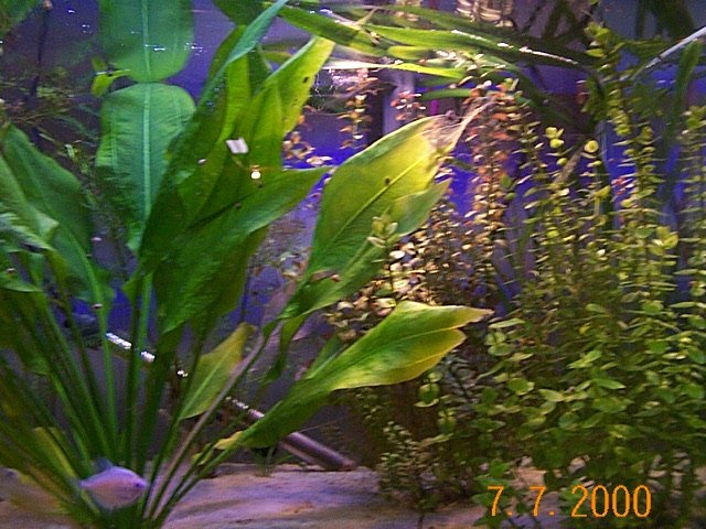 DCP01080.JPG DCP01080.JPG