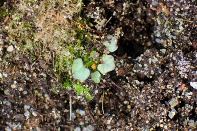 DSC_1885.jpg
