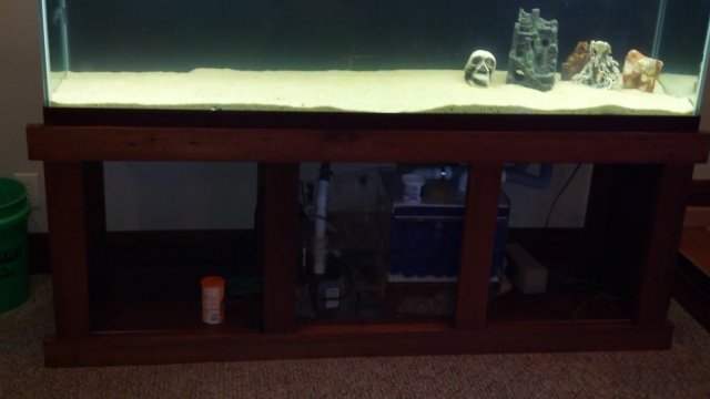 2012-11-01_08-17-41_531.jpg