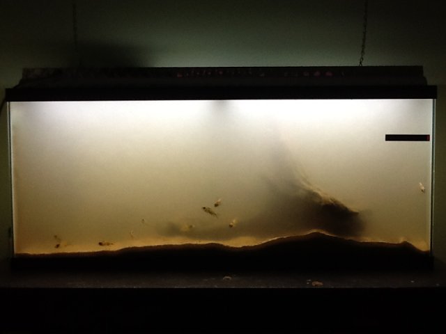 photo(9).JPG photo(9).JPG