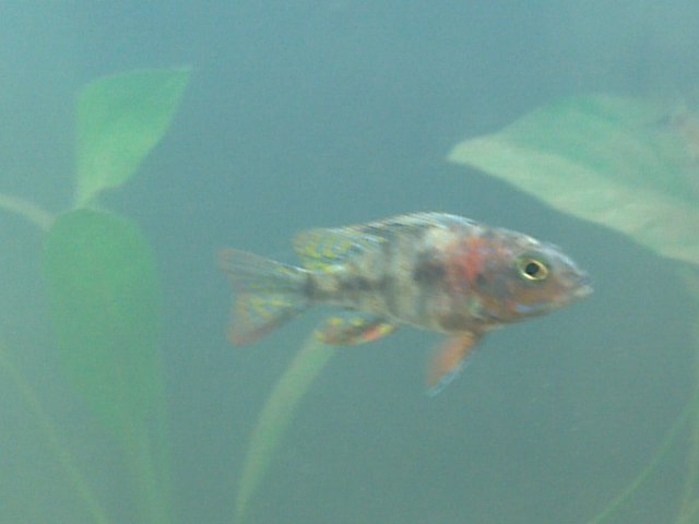 IMG_20121105_091120.jpg
