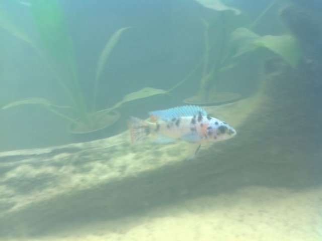 IMG_20121105_094316.jpg