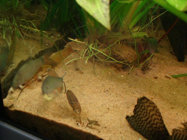 DSC09337.JPG