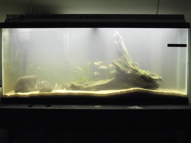 DSCF0775.jpg