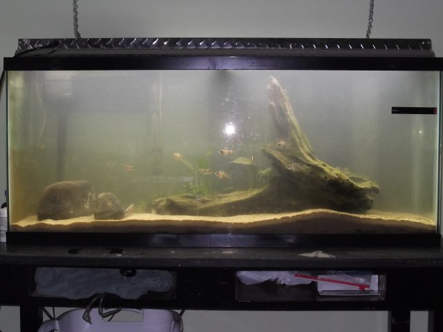 DSCF0776.jpg DSCF0776.jpg