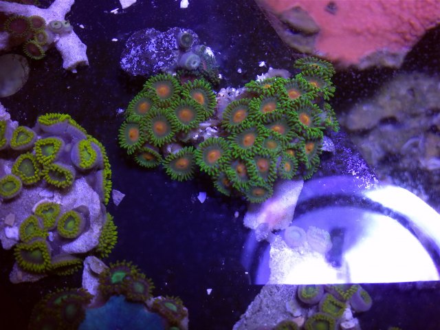 IMG_20121113_220930.jpg